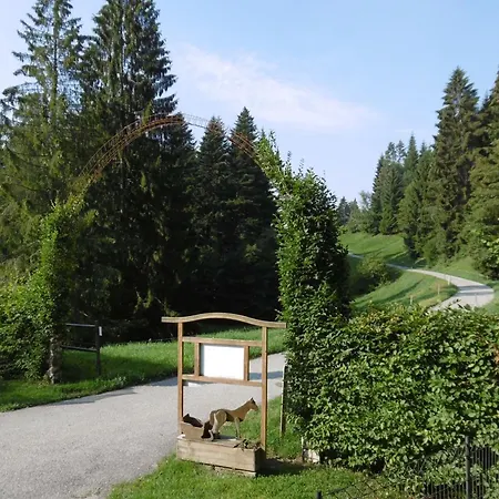 Friesenhof Blank In Sulzberg (Bregenz)